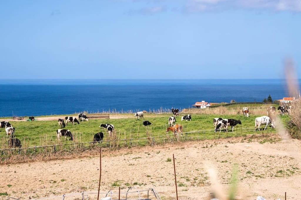 Country House In Azores - S. Miguel Ribeira Grande Exterior foto